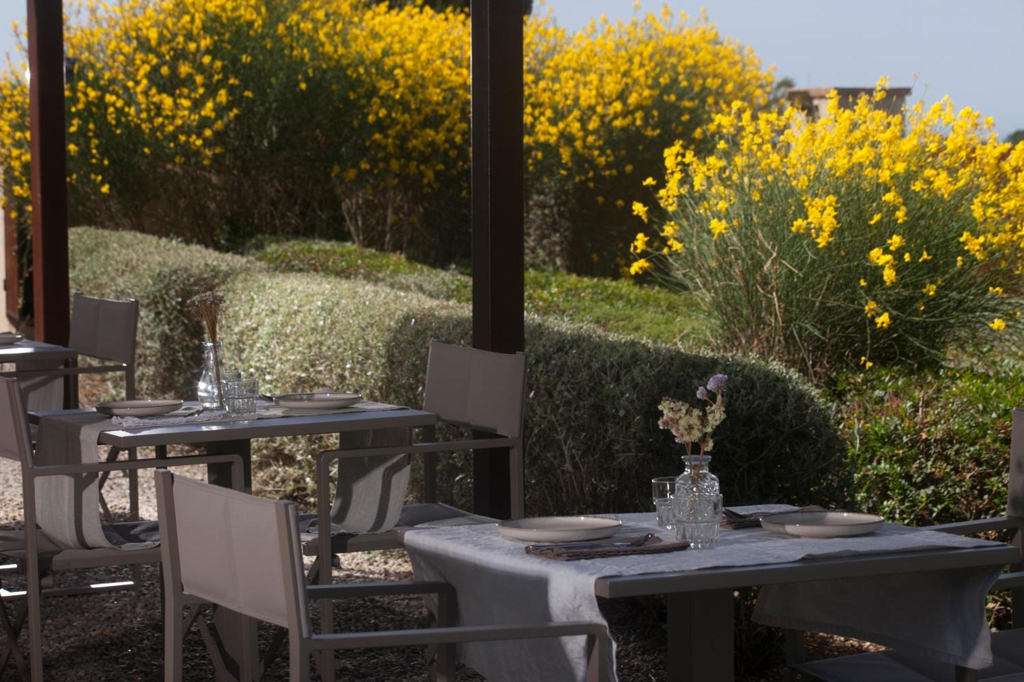 Bed and Breakfast Casale Sterpeti Magliano in Toscana Exteriér fotografie